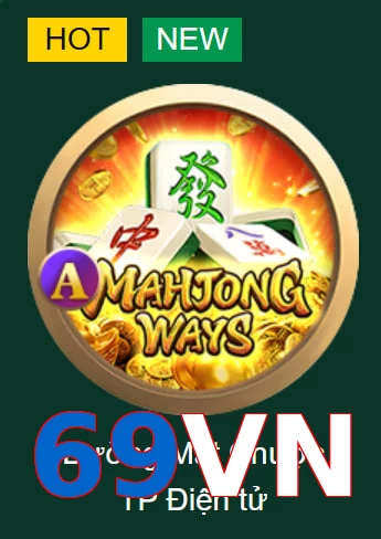 69VN