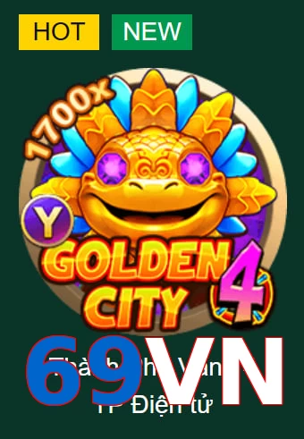 69VN